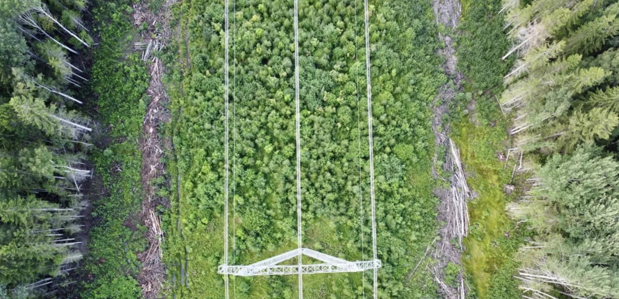 Powerline management solution