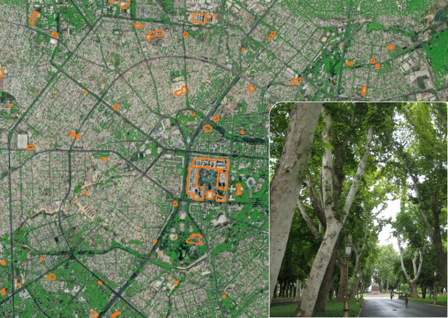 Vegetation mapping - downshifting the data prices
